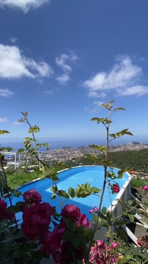 Geek - Open Space - 5m From 5 Attractions - Pool Year Round, Dining Pergola, Barbecue - Matrix Villaer *