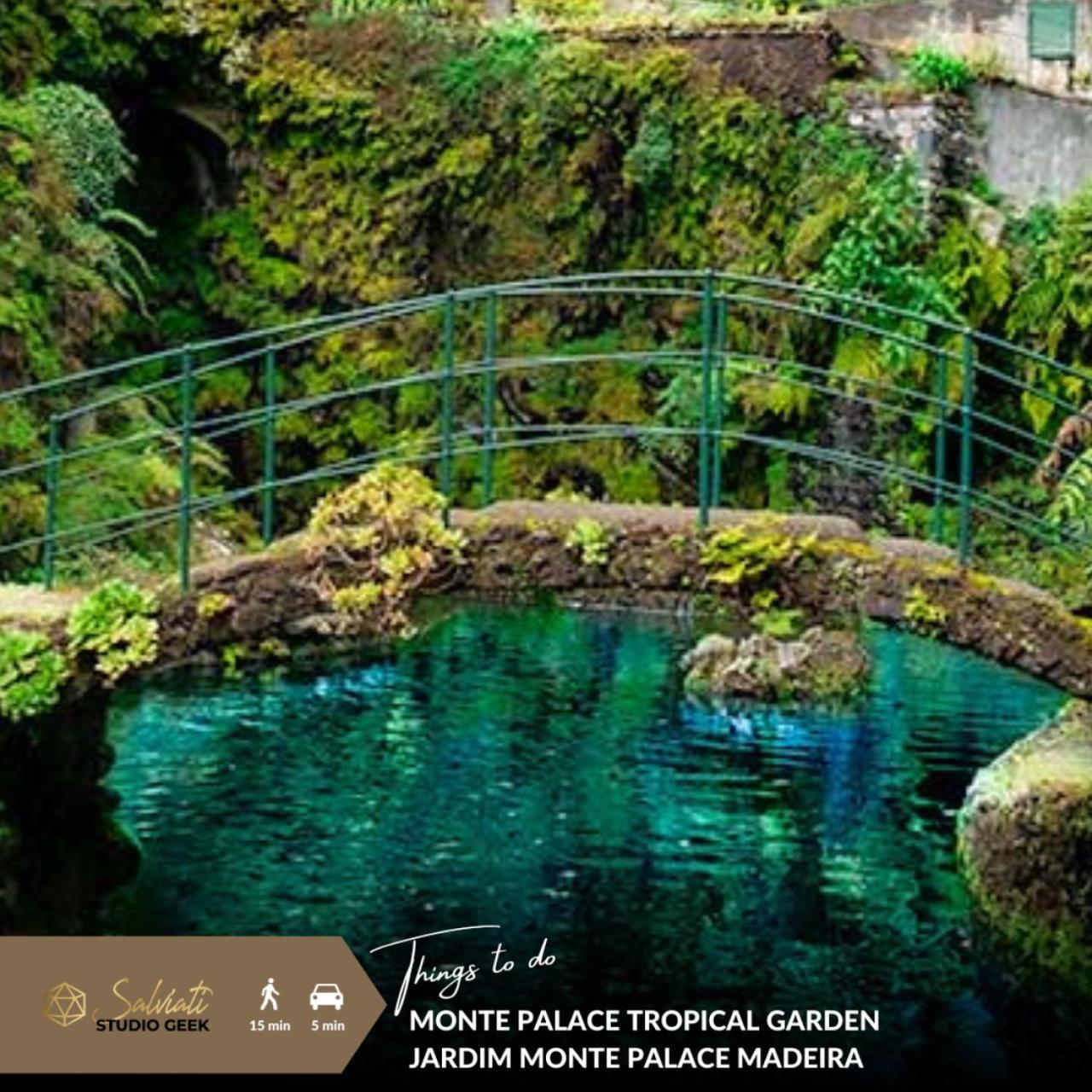 Geek - Open Space - 5m From 5 Attractions - Pool Year Round, Dining Pergola, Barbecue - Matrix Villaer